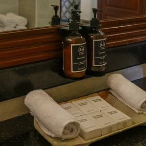 Deluxe Suites
