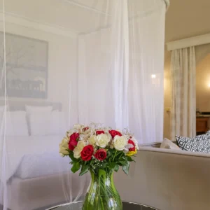 Premier Suite