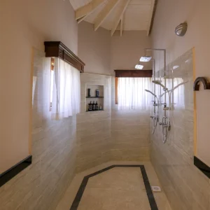 Premier Suite