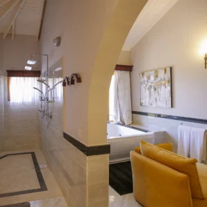 Premier Suite